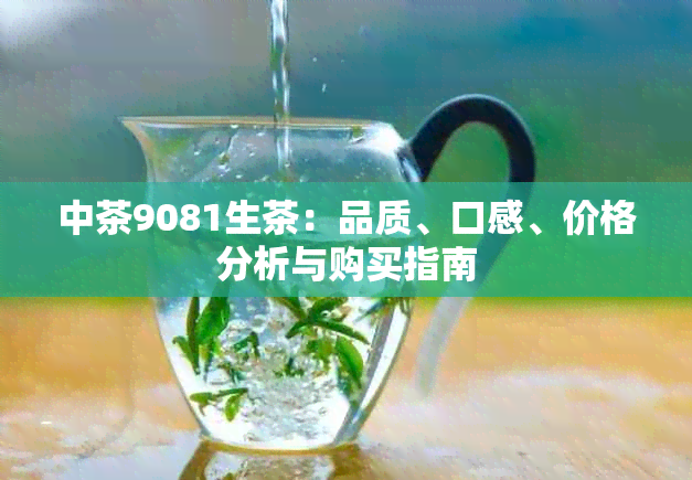 中茶9081生茶：品质、口感、价格分析与购买指南