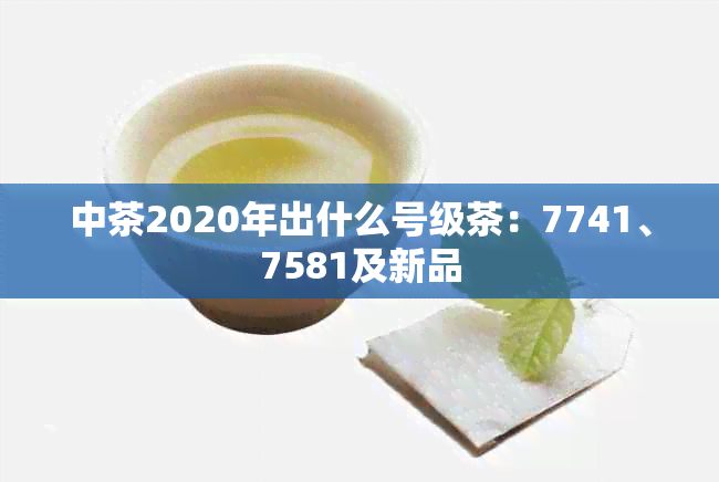 中茶2020年出什么号级茶：7741、7581及新品