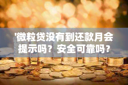 '微粒贷没有到还款月会提示吗？安全可靠吗？'