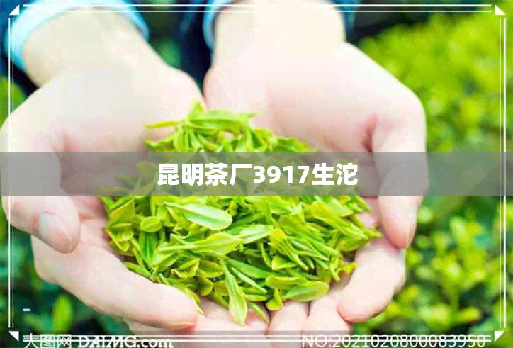 昆明茶厂3917生沱