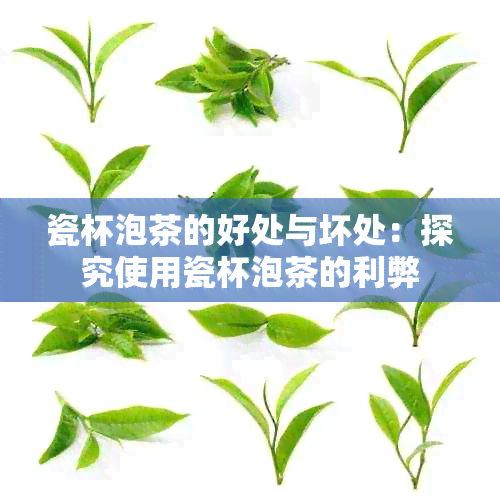 瓷杯泡茶的好处与坏处：探究使用瓷杯泡茶的利弊