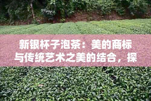 新银杯子泡茶：美的商标与传统艺术之美的结合，探讨其潜在好处与挑战