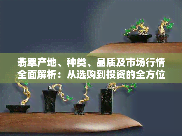 翡翠产地、种类、品质及市场行情全面解析：从选购到投资的全方位指南