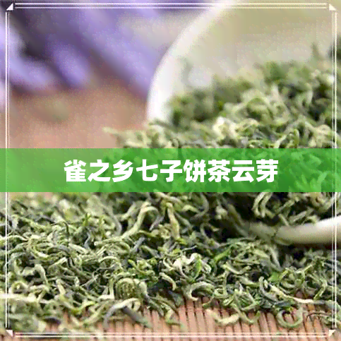 雀之乡七子饼茶云芽