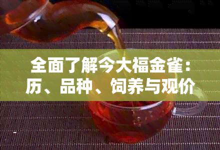 全面了解今大福金雀：历、品种、饲养与观价值