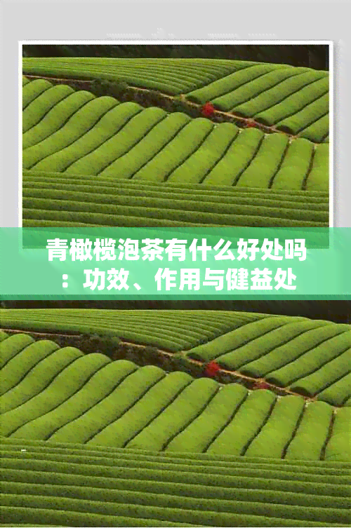 青橄榄泡茶有什么好处吗：功效、作用与健益处