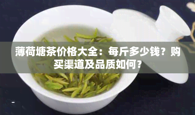 薄荷塘茶价格大全：每斤多少钱？购买渠道及品质如何？