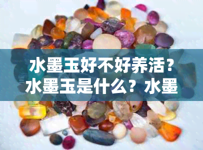 水墨玉好不好养活？水墨玉是什么？水墨玉价值高吗？水墨玉贵吗？