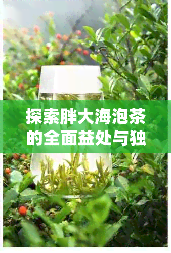 探索胖大海泡茶的全面益处与独特功效：不仅仅是美味，还有健之道