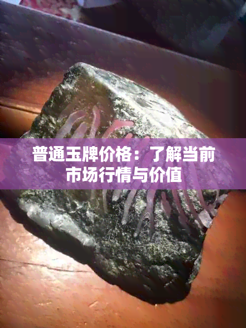 普通玉牌价格：了解当前市场行情与价值