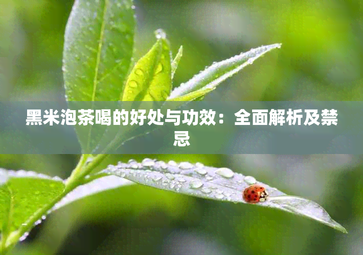 黑米泡茶喝的好处与功效：全面解析及禁忌