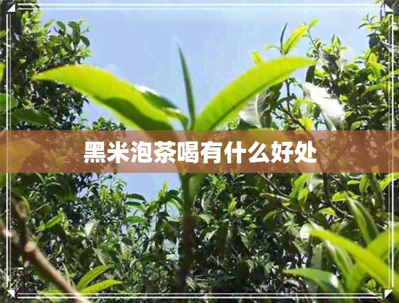 黑米泡茶喝有什么好处