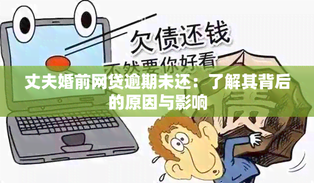 丈夫婚前网贷逾期未还：了解其背后的原因与影响