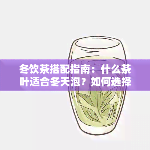 冬饮茶搭配指南：什么茶叶适合冬天泡？如何选择最适合你的茶品？