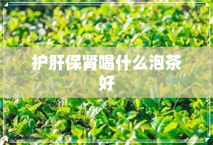 护肝保肾喝什么泡茶好