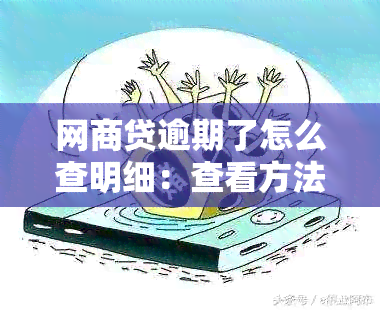 网商贷逾期了怎么查明细：查看方法及还款处理