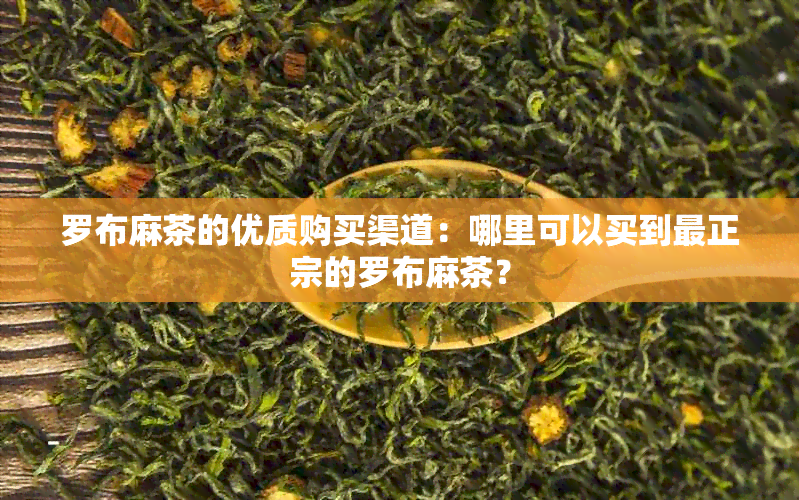 罗布麻茶的优质购买渠道：哪里可以买到最正宗的罗布麻茶？