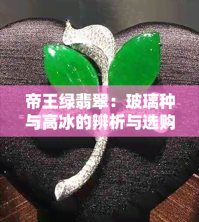 帝王绿翡翠：玻璃种与高冰的辨析与选购指南