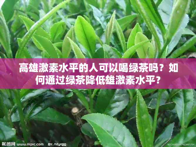 高雄激素水平的人可以喝绿茶吗？如何通过绿茶降低雄激素水平？