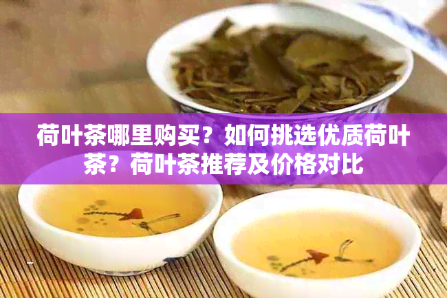 荷叶茶哪里购买？如何挑选优质荷叶茶？荷叶茶推荐及价格对比