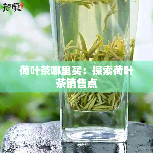 荷叶茶哪里买：探索荷叶茶销售点