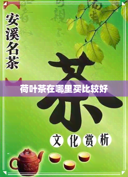 荷叶茶在哪里买比较好