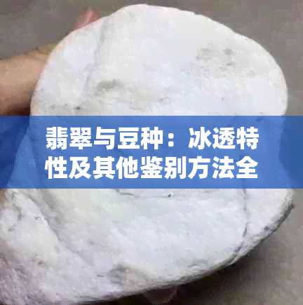 翡翠与豆种：冰透特性及其他鉴别方法全面解析