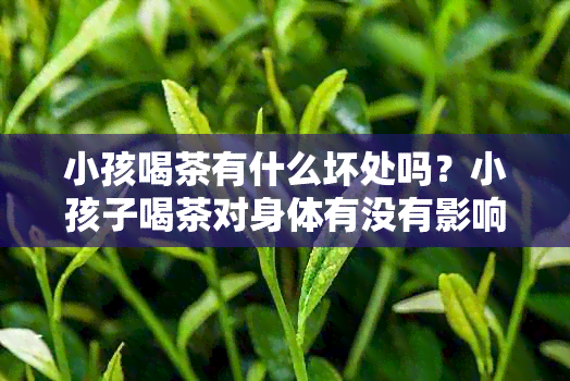 小孩喝茶有什么坏处吗？小孩子喝茶对身体有没有影响？