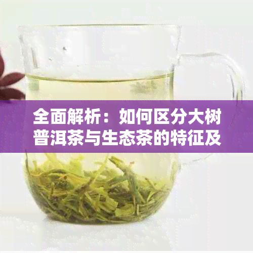 全面解析：如何区分大树普洱茶与生态茶的特征及其品质差异