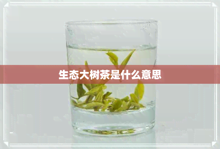 生态大树茶是什么意思