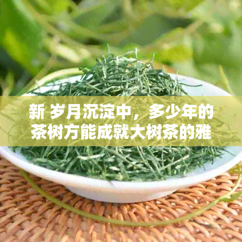 新 岁月沉淀中，多少年的茶树方能成就大树茶的雅韵