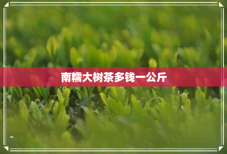 南糯大树茶多钱一公斤