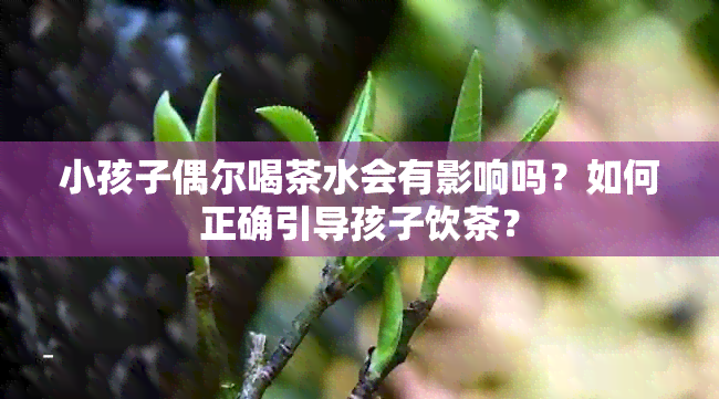 小孩子偶尔喝茶水会有影响吗？如何正确引导孩子饮茶？