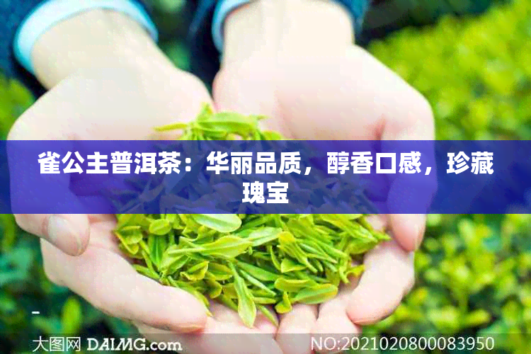 雀公主普洱茶：华丽品质，醇香口感，珍藏瑰宝