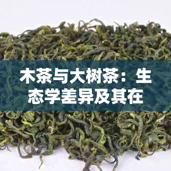 木茶与大树茶：生态学差异及其在茶叶产业中的影响