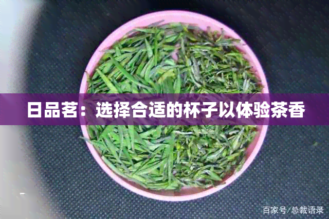 日品茗：选择合适的杯子以体验茶香