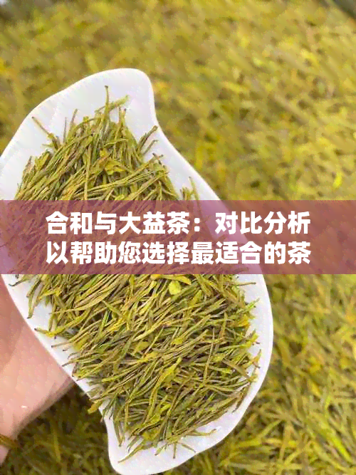 合和与大益茶：对比分析以帮助您选择最适合的茶叶