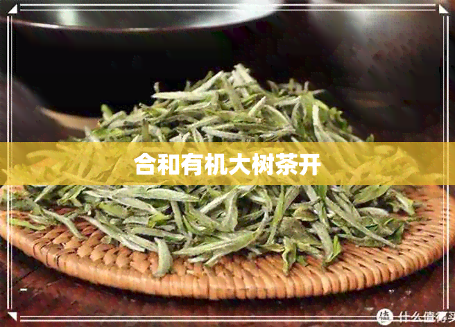 合和有机大树茶开