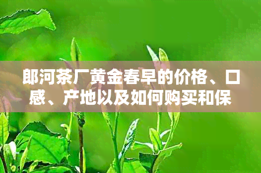 郎河茶厂黄金春早的价格、口感、产地以及如何购买和保存方法的全面指南