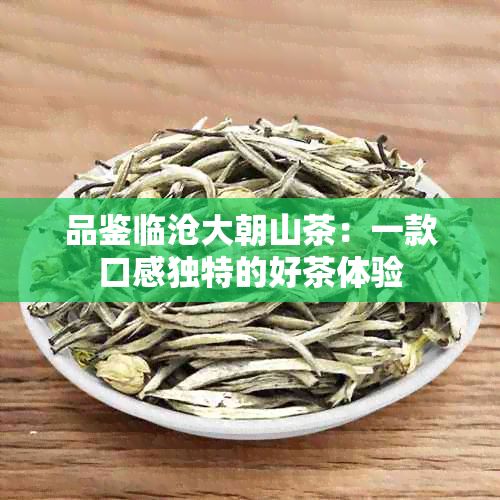 品鉴临沧大朝山茶：一款口感独特的好茶体验