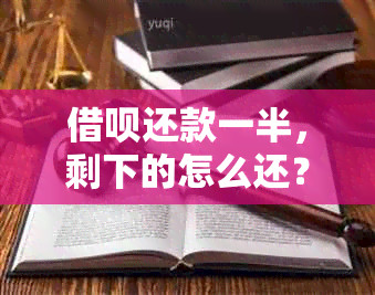 借呗还款一半，剩下的怎么还？