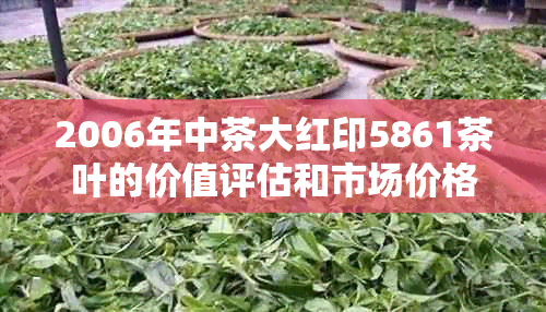 2006年中茶大红印5861茶叶的价值评估和市场价格解析