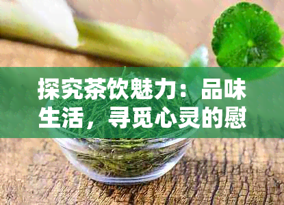 探究茶饮魅力：品味生活，寻觅心灵的慰藉