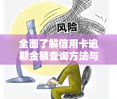 全面了解信用卡逾期金额查询方法与注意事项，助您轻松解决逾期问题