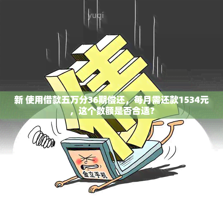 新 使用借款五万分36期偿还，每月需还款1534元，这个数额是否合适？