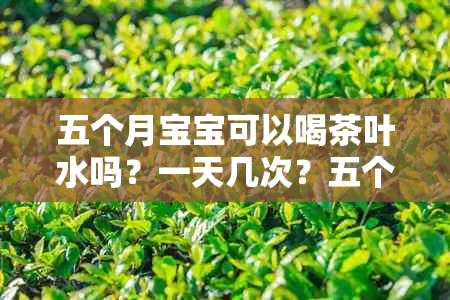 五个月宝宝可以喝茶叶水吗？一天几次？五个月的宝宝喝茶叶水会怎么样？