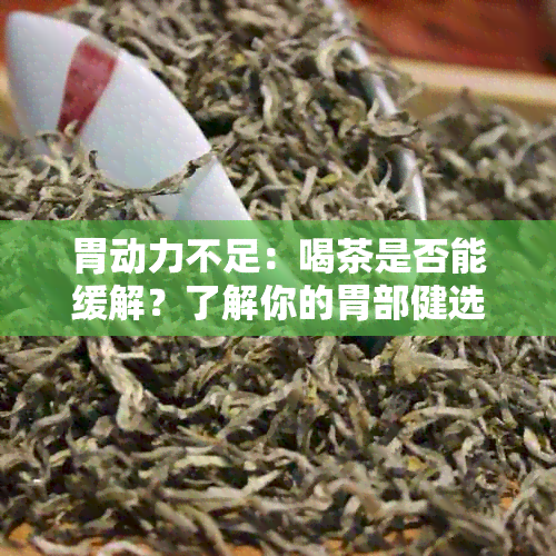 胃动力不足：喝茶是否能缓解？了解你的胃部健选择