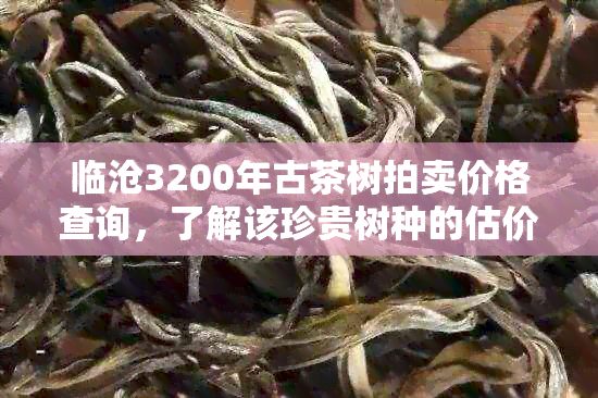 临沧3200年古茶树拍卖价格查询，了解该珍贵树种的估价和成交记录