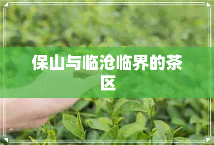 保山与临沧临界的茶区