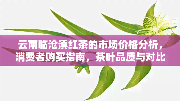 云南临沧滇红茶的市场价格分析，消费者购买指南，茶叶品质与对比